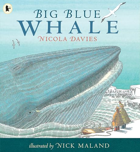 NICOLA DAVIES - Big Blue Whale - Paperback image 1