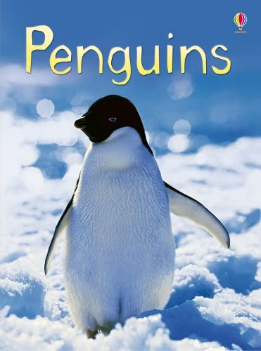 Emily Bone - Penguins - Hardback image 1