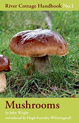 John Wright - Mushrooms : No. 1 - Hardback image 1