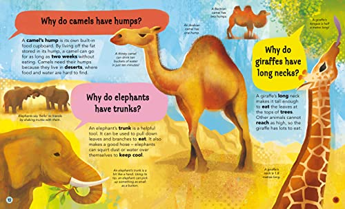 Anita Ganeri - I Wonder Why Camels Have Humps : And Other Questions Ab image 3