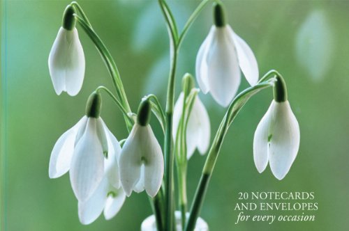 Peony Press - Card Box of 20 Notecards and Envelopes: Snowdrop - Non-b image 1