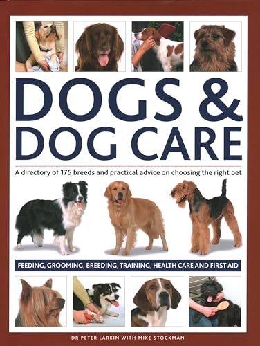 Mike Stockman - Dogs & Dog Care : A directory of 175 breeds and practi image 1