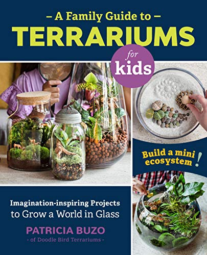 Patricia Buzo - A Family Guide to Terrariums for Kids : Imagination-in image 1