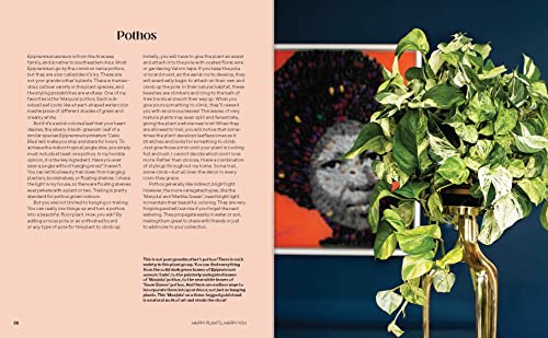 Kamili Bell Hill - Happy Plants, Happy You : A Plant-Care & Self-Care image 4
