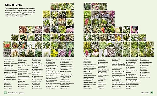 Lisa Eldred Steinkop - Houseplants for Beginners : A Simple Guide for image 5