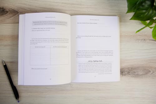 Sissy Goff - Worry–Free Parent Workbook – Learning to Live in Conf image 6