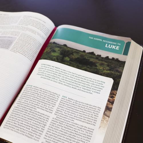 Thomas Nelson - NKJV Study Bible, Hardcover, Burgundy, Full-Color, Com image 2