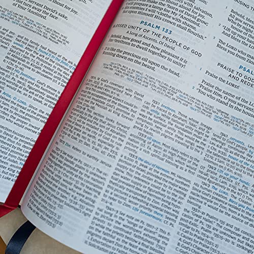 NKJV, MacArthur Study Bible, 2nd Edition, Cloth over Board, Blue, Comf image 8