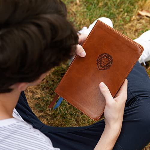 Thomas Nelson - NKJV, Thinline Bible Youth Edition, Leathersoft, Brown image 3