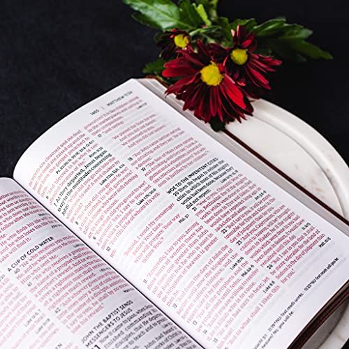 Thomas Nelson - NKJV, End-of-Verse Reference Bible, Personal Size Larg image 5