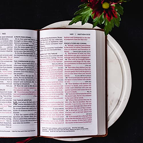 Thomas Nelson - NKJV, End-of-Verse Reference Bible, Personal Size Larg image 6