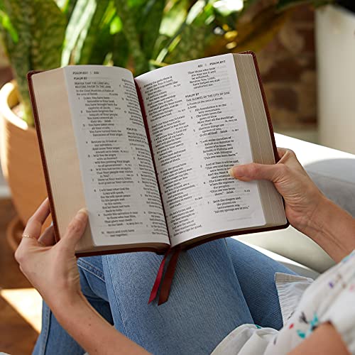 Thomas Nelson - NKJV, End-of-Verse Reference Bible, Personal Size Larg image 7