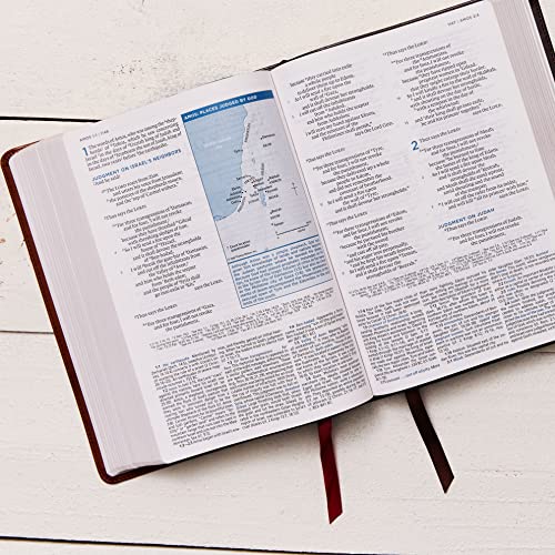 ESV, MacArthur Study Bible, 2nd Edition, Hardcover : Unleashing God image 4