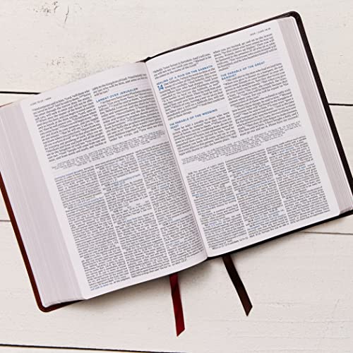 ESV, MacArthur Study Bible, 2nd Edition, Hardcover : Unleashing God image 6