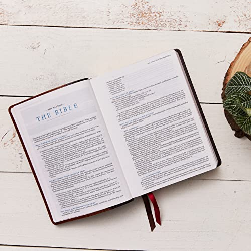 ESV, MacArthur Study Bible, 2nd Edition, Leathersoft, Black : Unleashi image 2