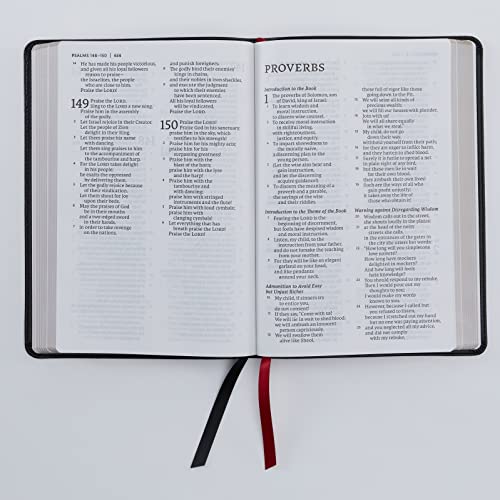 Thomas Nelson - NET Bible, Thinline Large Print, Genuine Leather, Blac image 2