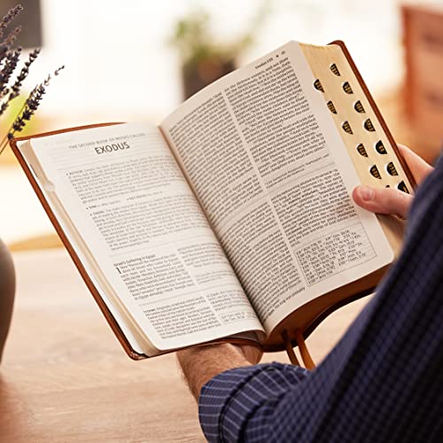 Thomas Nelson - NKJV, Foundation Study Bible, Large Print, Leathersoft image 9