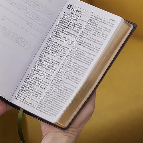 Thomas Nelson - KJV, The Everyday Bible, Black Leathersoft, Red Letter image 2
