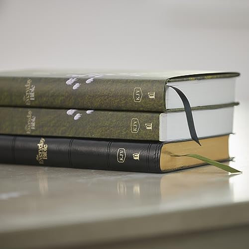Thomas Nelson - KJV, The Everyday Bible, Black Leathersoft, Red Letter image 8