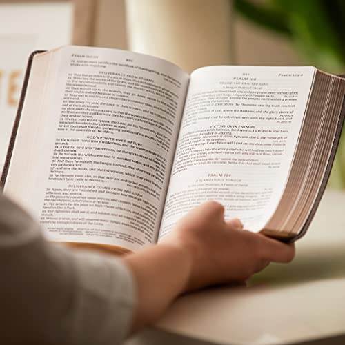 Thomas Nelson - KJV, Personal Size Large Print Single-Column Reference image 9