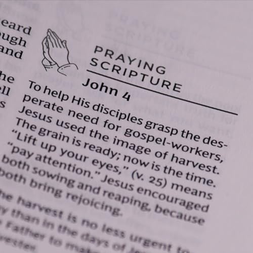 Thomas Nelson - Prayer Bible: Pray God’s Word Cover to Cover (NKJV, image 3