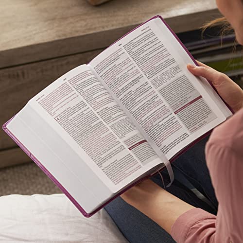 Thomas Nelson - KJV, Word Study Reference Bible, Leathersoft, Brown, R image 7