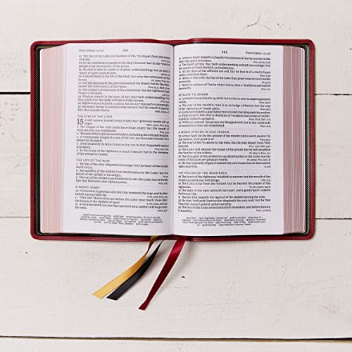 Thomas Nelson - KJV, Personal Size Large Print Single-Column Reference image 9