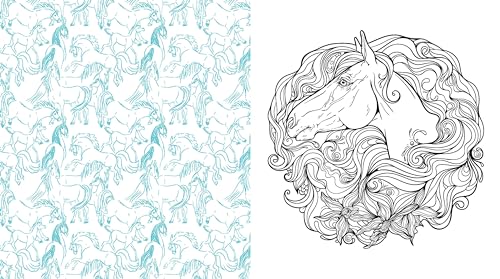 Editors of Chartwell - Beautiful Horses Coloring Book : Color Your Fav image 3