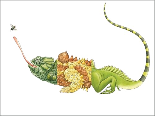 Sara Ball - Flip-a-gator : Make Your Own Wacky Reptile! - Hardback image 4