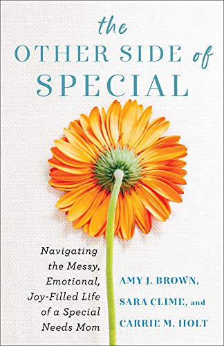 Carrie M Holt - Other Side of Special - Navigating the Messy, Emotiona image 1