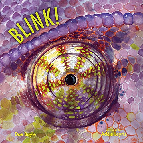 DOE BOYLE - BLINK - Hardback image 1