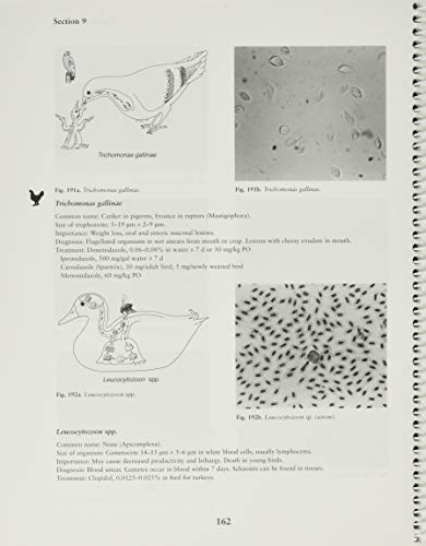 WJ Foreyt - Veterinary Parasitology Reference Manual, Fifth Ed ition - image 3