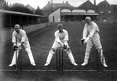 Stephen Hill - Somerset Cricketers 1882-1914 - Hardback image 4