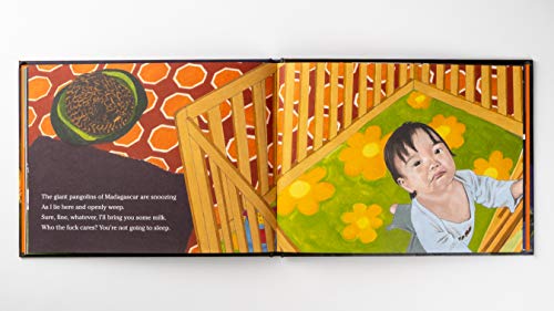 Adam Mansbach - Go the uck to Sleep - Hardback image 5