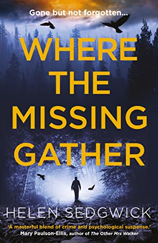 Helen Sedgwick - Where the Missing Gather : ' saw into the future image 1