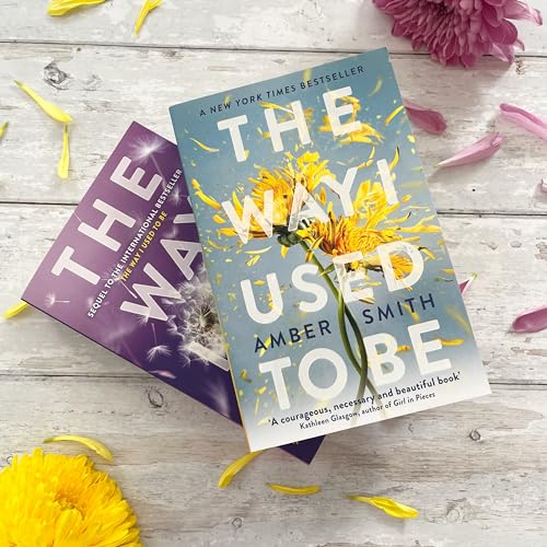 Amber Smith - Way I Used to Be - Paperback image 6
