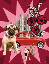 J.J. Martin - Mamma Milano : Lessons from the Motherland - Hardback image 1