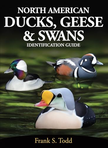 Frank Todd - North American Ducks, Geese and Swans : identification gu image 1