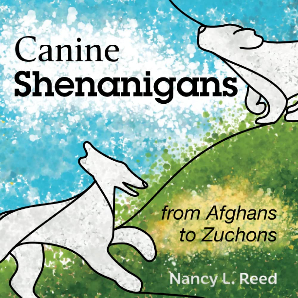 Canine Shenanigans: from Afghans to Zuchons