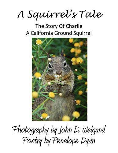 A Squirrel's tale, The Story Of Charlie, A California Ground Squirrel