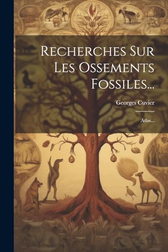 Recherches Sur Les Ossements Fossiles...: Atlas...