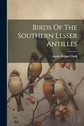 Birds Of The Southern Lesser Antilles