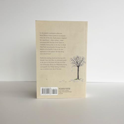Brian Bilston - Days Like These : An Alternative Guide to the Year in image 3