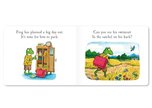 Julia Donaldson - Frog's Day Out : A Lift-the-flap Story - Hardbac image 1