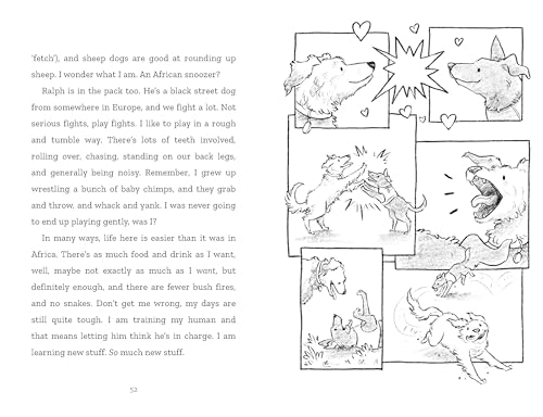 Ben Garrod - Jack-Jack, How to Train Your Human - Paperback image 5