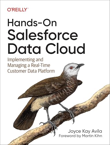 Joyce Kay Avila - Hands-On Salesforce Data Cloud : Implementing and Ma image 1