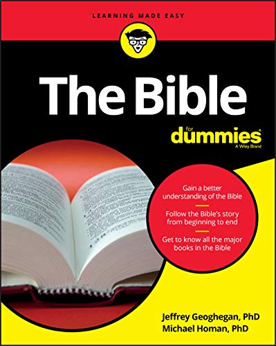 Michael M. Homan - Bible For Dummies - Paperback image 1