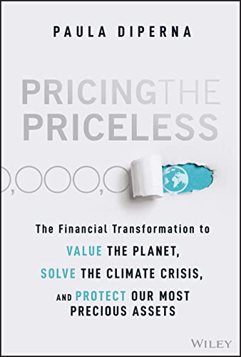 Paula DiPerna - Pricing the Priceless : The Financial Transformation t image 1