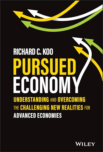 Richard C. Koo - Pursued Economy : Understanding and Overcoming the Ch image 1