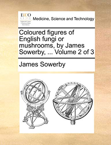 Coloured figures of English fungi or mushrooms, by James Sowerby, ...  Volume 2 of 3